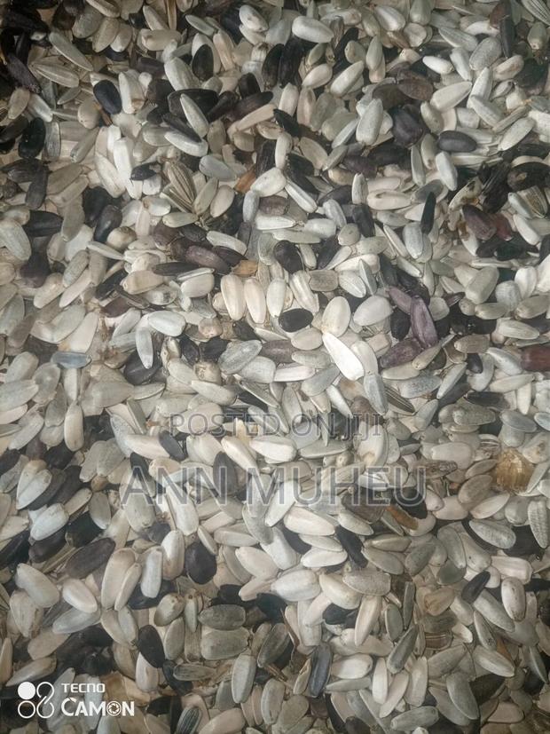 Sunflower Seeds - thumbnail 3