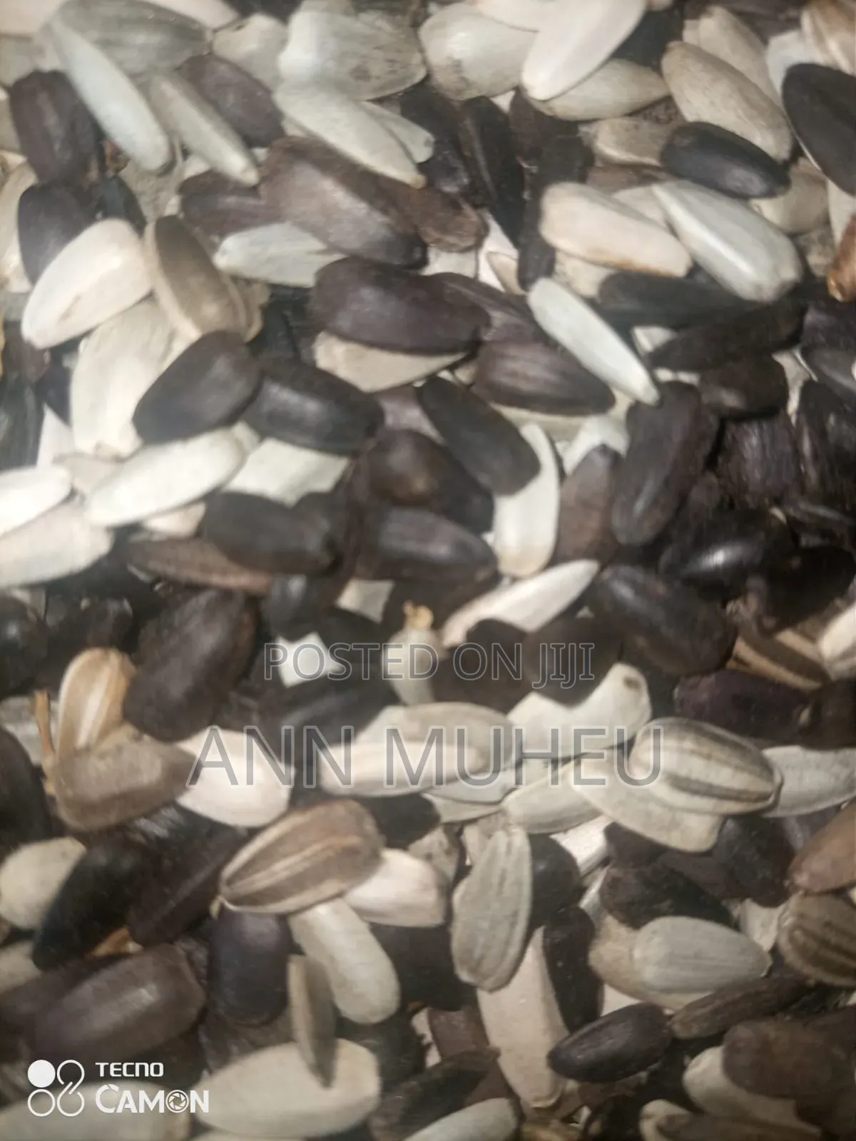 Sunflower Seeds