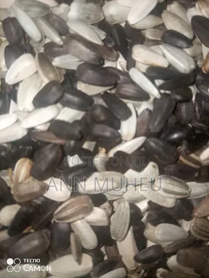 Sunflower Seeds