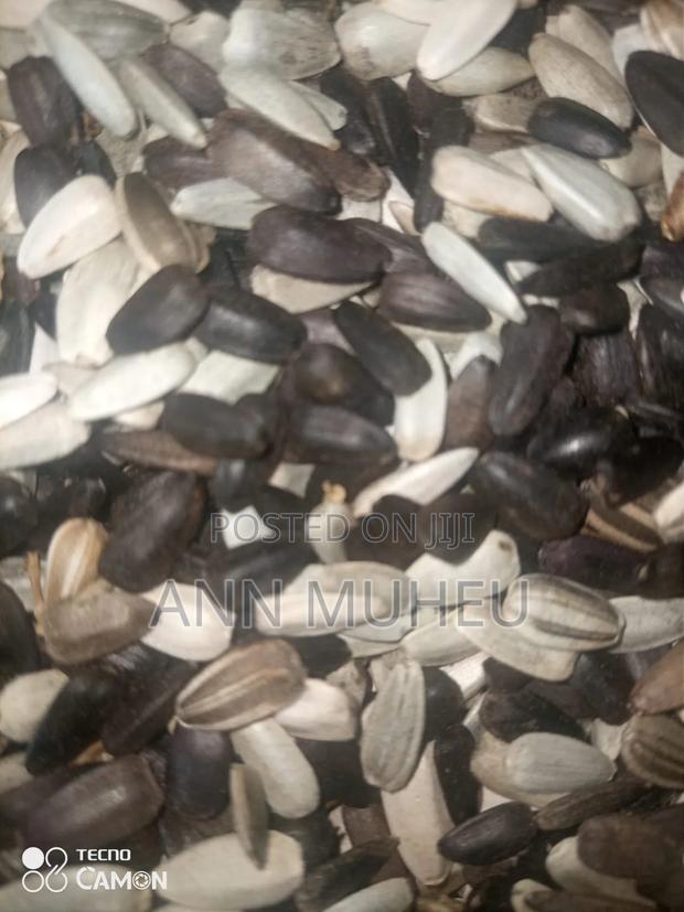 Sunflower Seeds - thumbnail 4