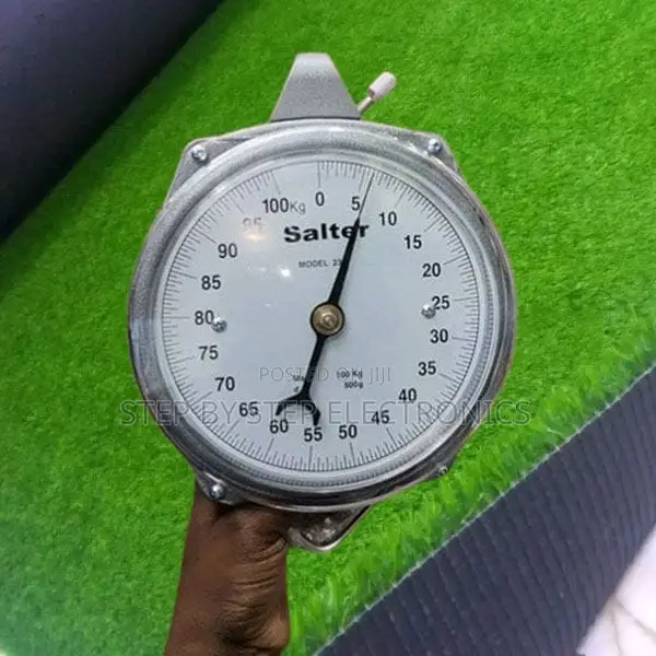 Salter 100kg Mechanical Hanging Scale for Industrial Use