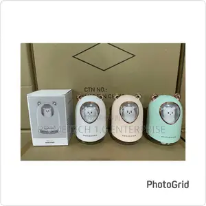 300ml Bear Humidifier