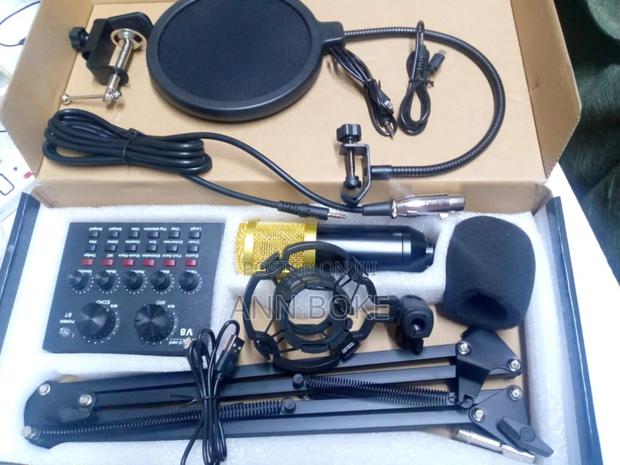 V8 Professional Condenser Microphone With Patented Audio