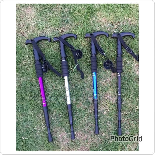 Anti-Shock Trekking/Walking Sticks - main view