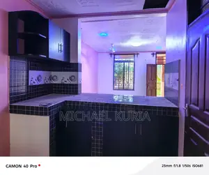 1bdrm Apartment in 002 Petrol Station, Kinondo for rent