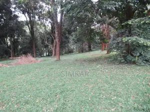 4 Acres of Land for Sale in Mushroom Gardens Estate
