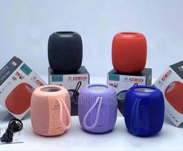 Ws 309 Wster Wireless Speaker