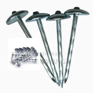 Roofing Nails