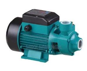 Peripheral Water Pump