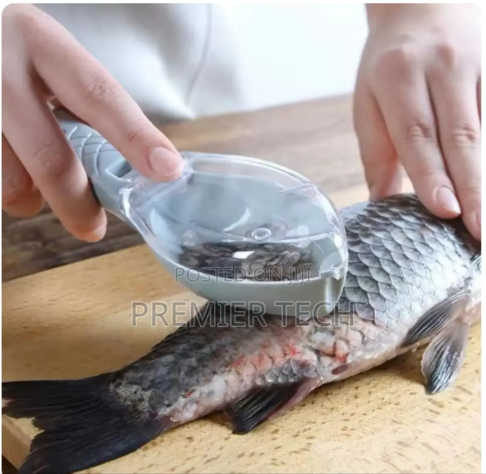 Fish Scale Scrapper