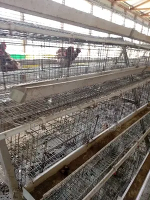 Cages (Layers)