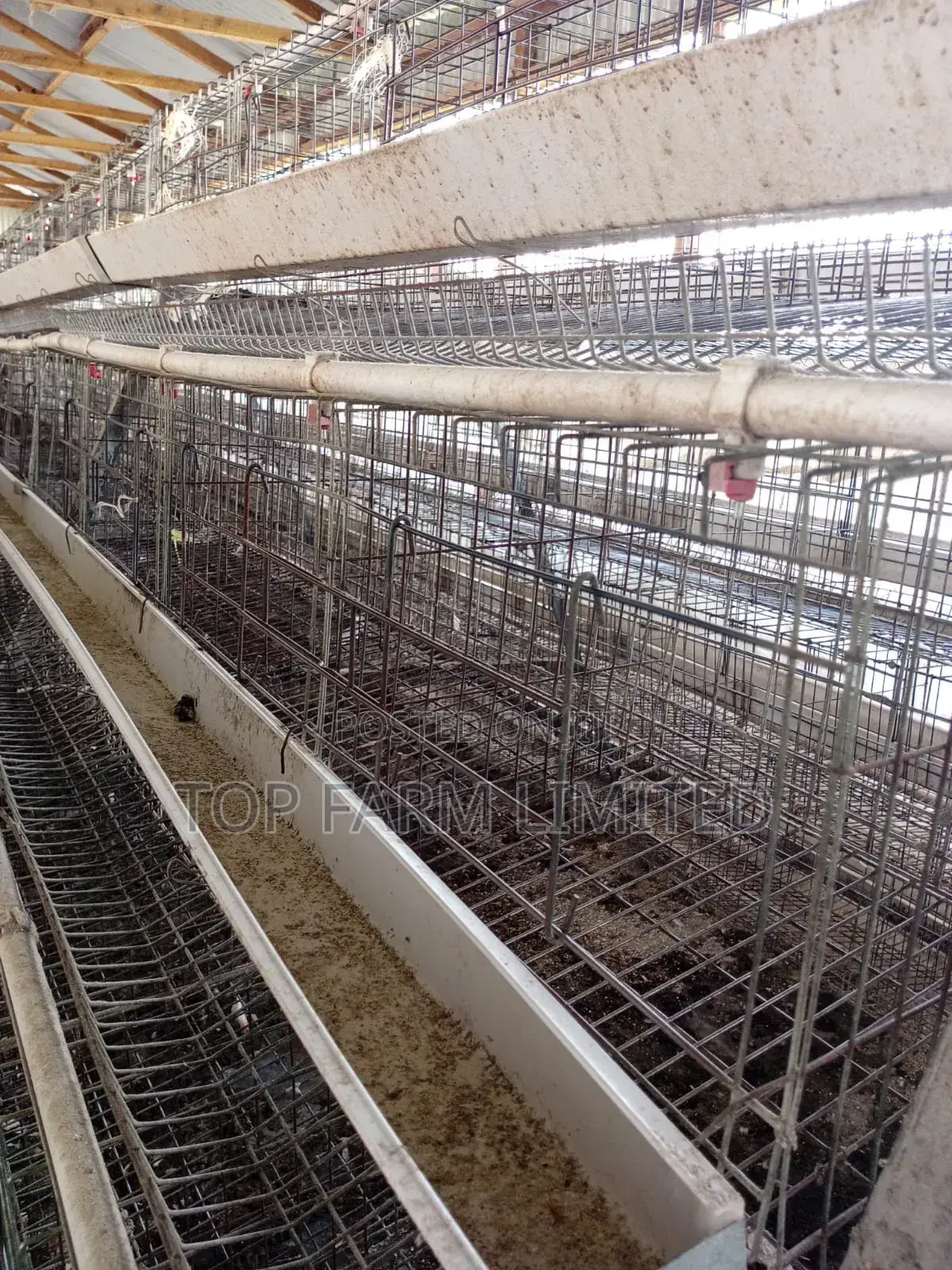 Cages (Layers)