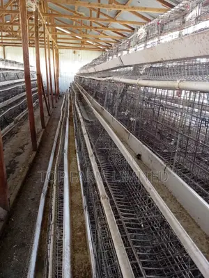 Cages (Layers)