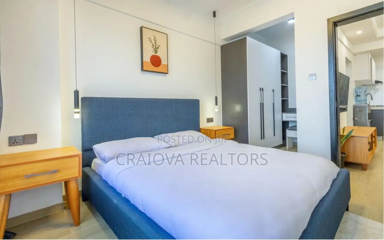 Furnished 1bdrm Apartment in Raphta Road Area for rent