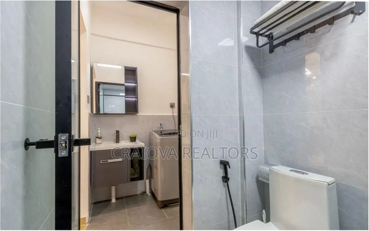 Furnished 1bdrm Apartment in Raphta Road Area for rent