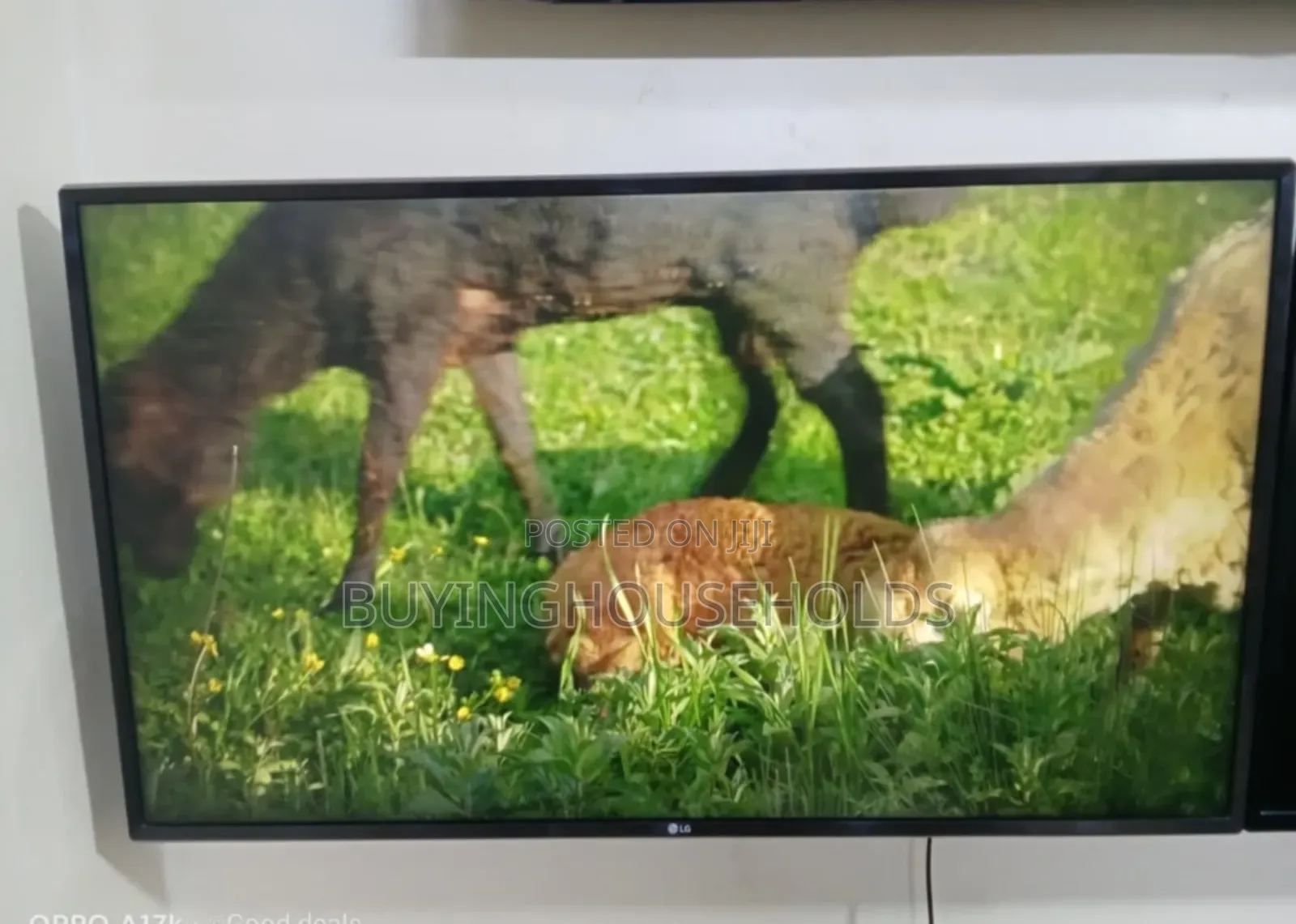 Lg 43" Smart Tv