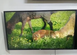 Lg 43" Smart Tv