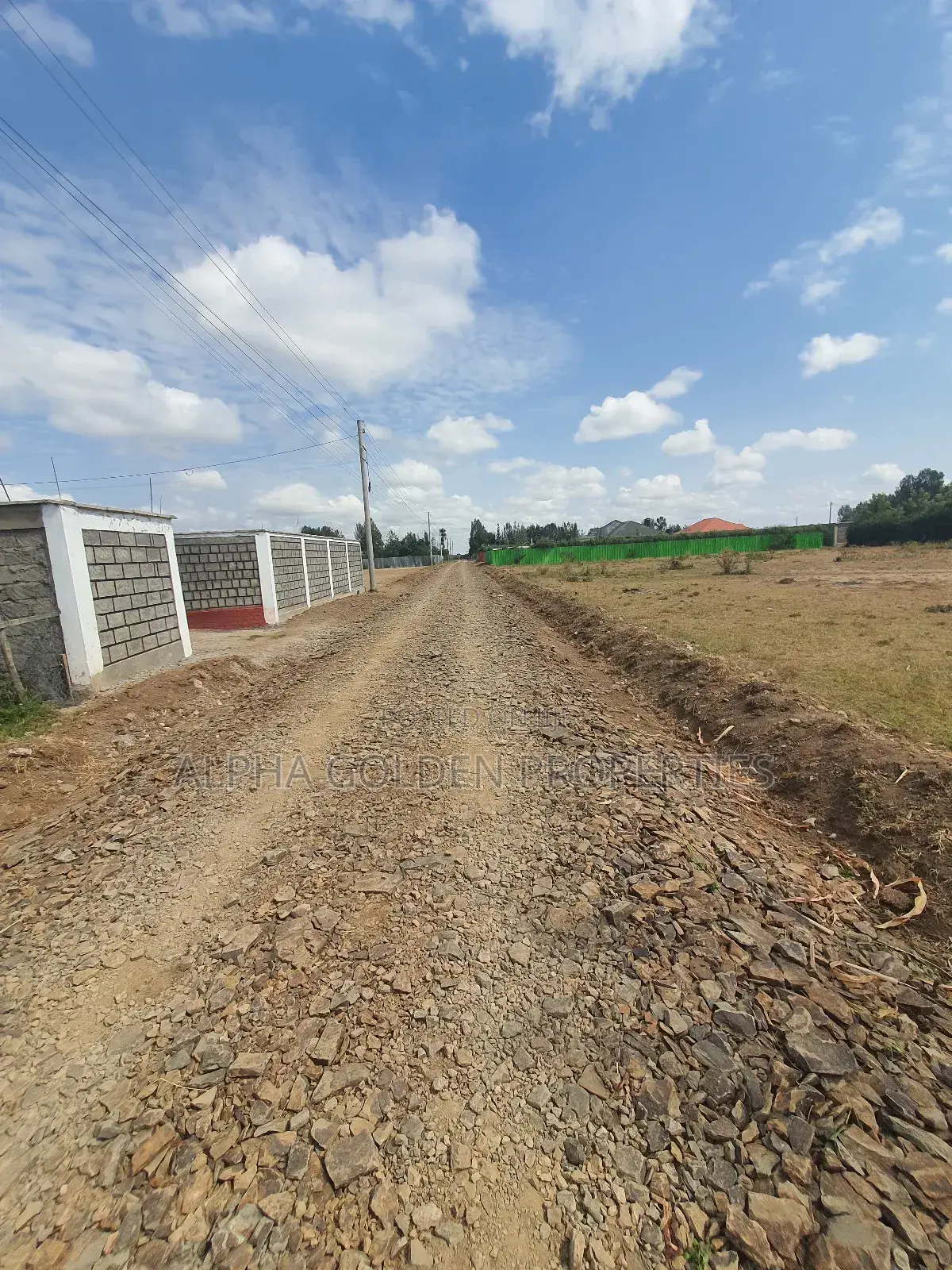 Nanyuki Town 1/4 Plots