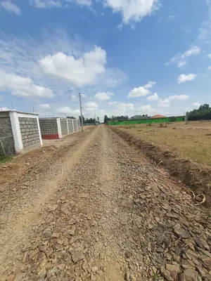 Nanyuki Town 1/4 Plots