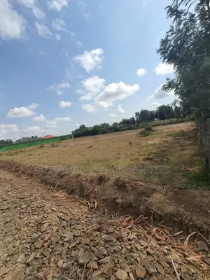 Nanyuki Town 1/4 Plots
