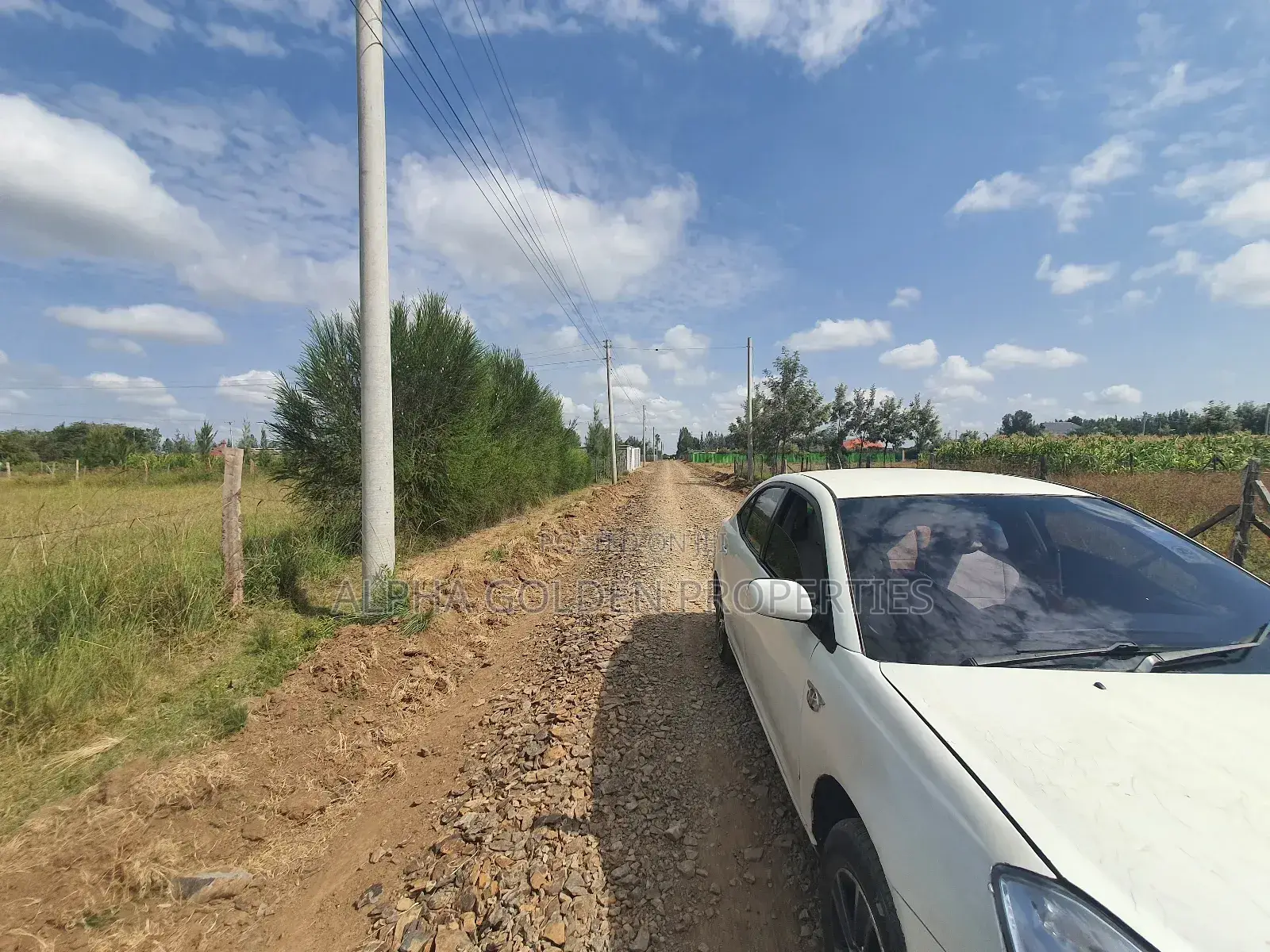 Nanyuki Town 1/4 Plots