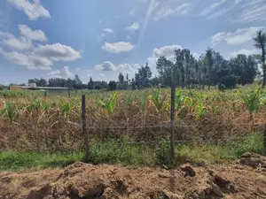 Nanyuki Town 1/4 Plots