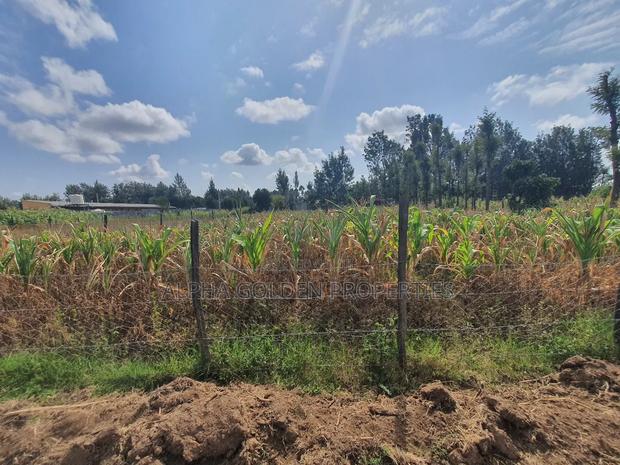 Nanyuki Town 1/4 Plots - thumbnail 4