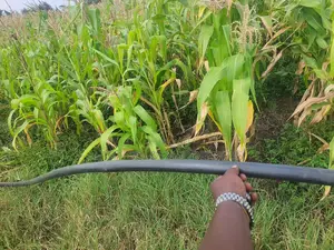 Ngobit 20 Acres