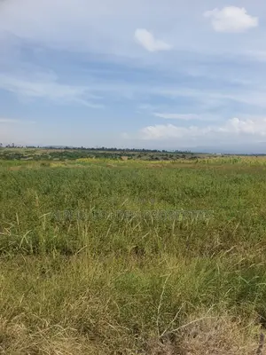 Ngobit 20 Acres