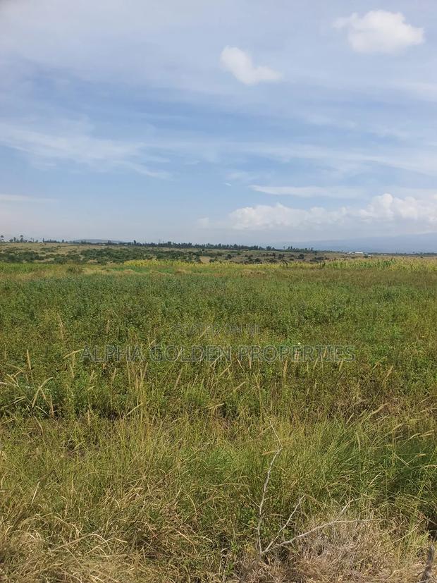Ngobit 20 Acres - thumbnail 4