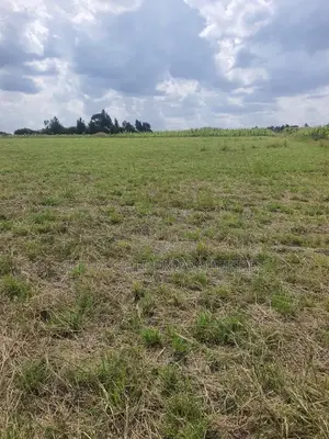 Ngobit 20 Acres