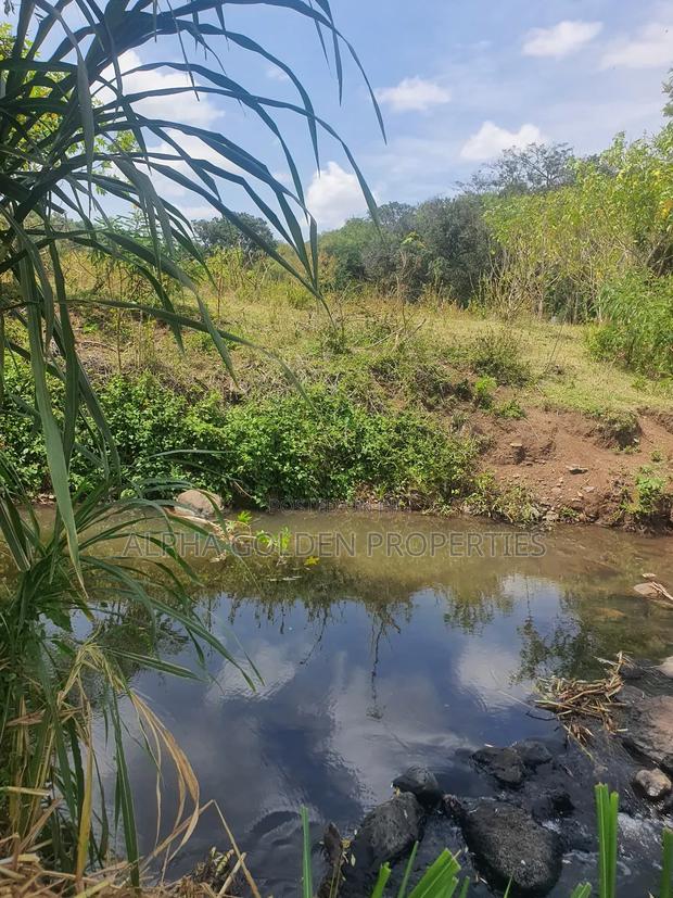 Ngobit 19 Acres Touching River - thumbnail 2