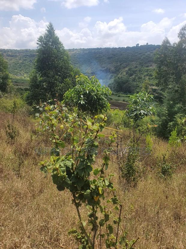 Ngobit 19 Acres Touching River - thumbnail 3