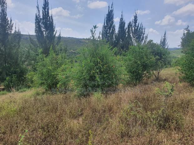 Ngobit 19 Acres Touching River - thumbnail 4