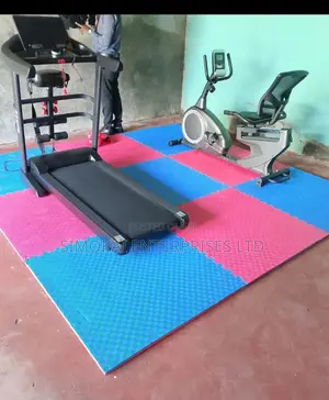 Home & Semi Commercial Recumbent Bike