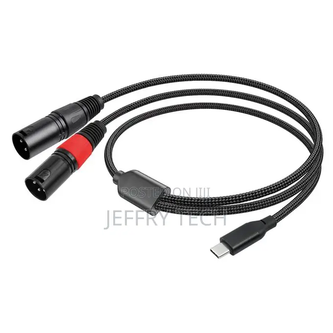 Type C Input to Dual XLR Male Output Ofc Audio Cab