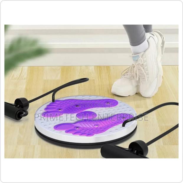 Home Gym Twisting Disc Plate - main view