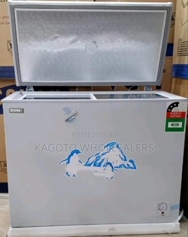 Ecomax 219liters Freezer