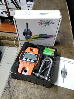 Commercial 300kg Mini Crane / Mini Crane