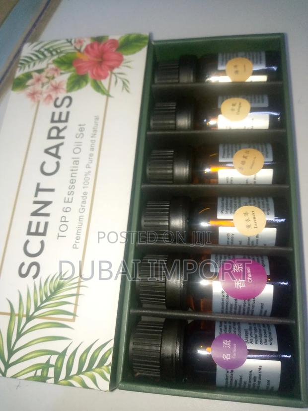 6 PCS 10ml Essential Oil - main view
