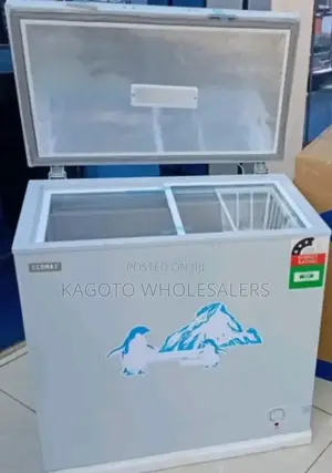 Ecomax 169liters Freezer