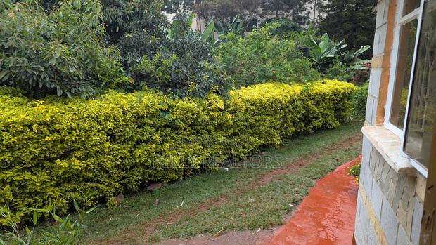 1bdrm House in Thindigua for rent - thumbnail 13
