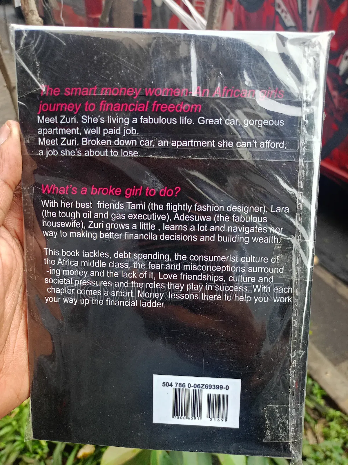 The Smart Money Woman Novel
