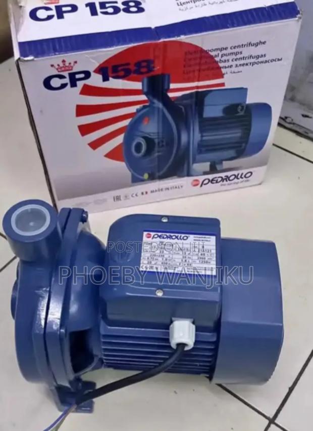 High Quality Pedrollo Water Pump - main view