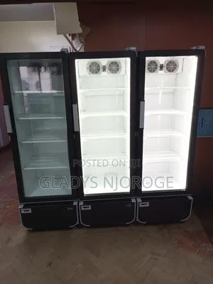 Well Maintained Chiller (400l)