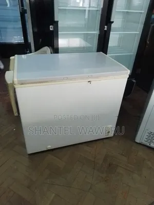 Clean 250litres Deep Freezer