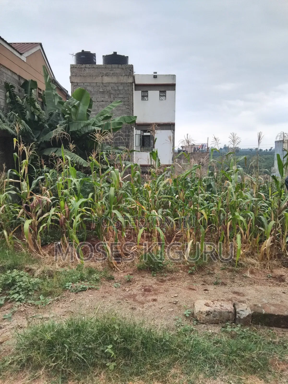 Kenyatta Rd, Murram Estate 50x25 Plots.