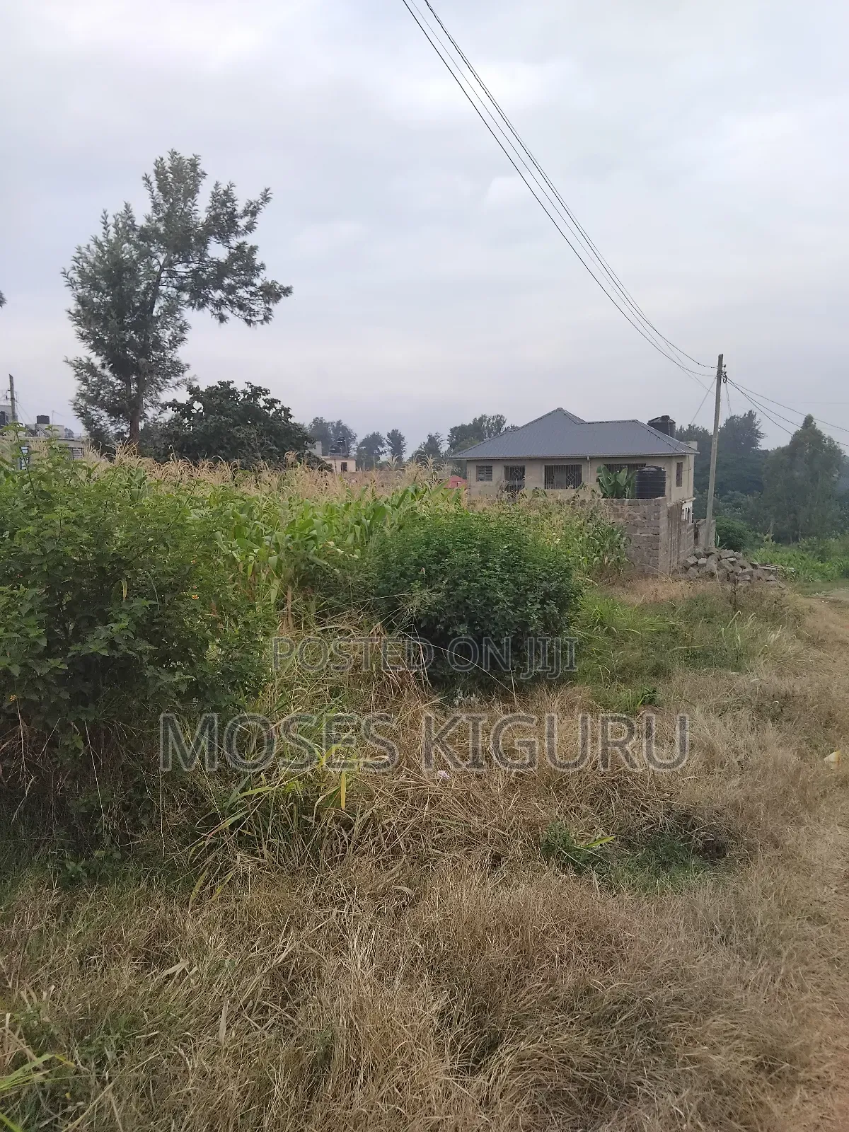 Kenyatta Rd, Murram Estate 50x25 Plots.