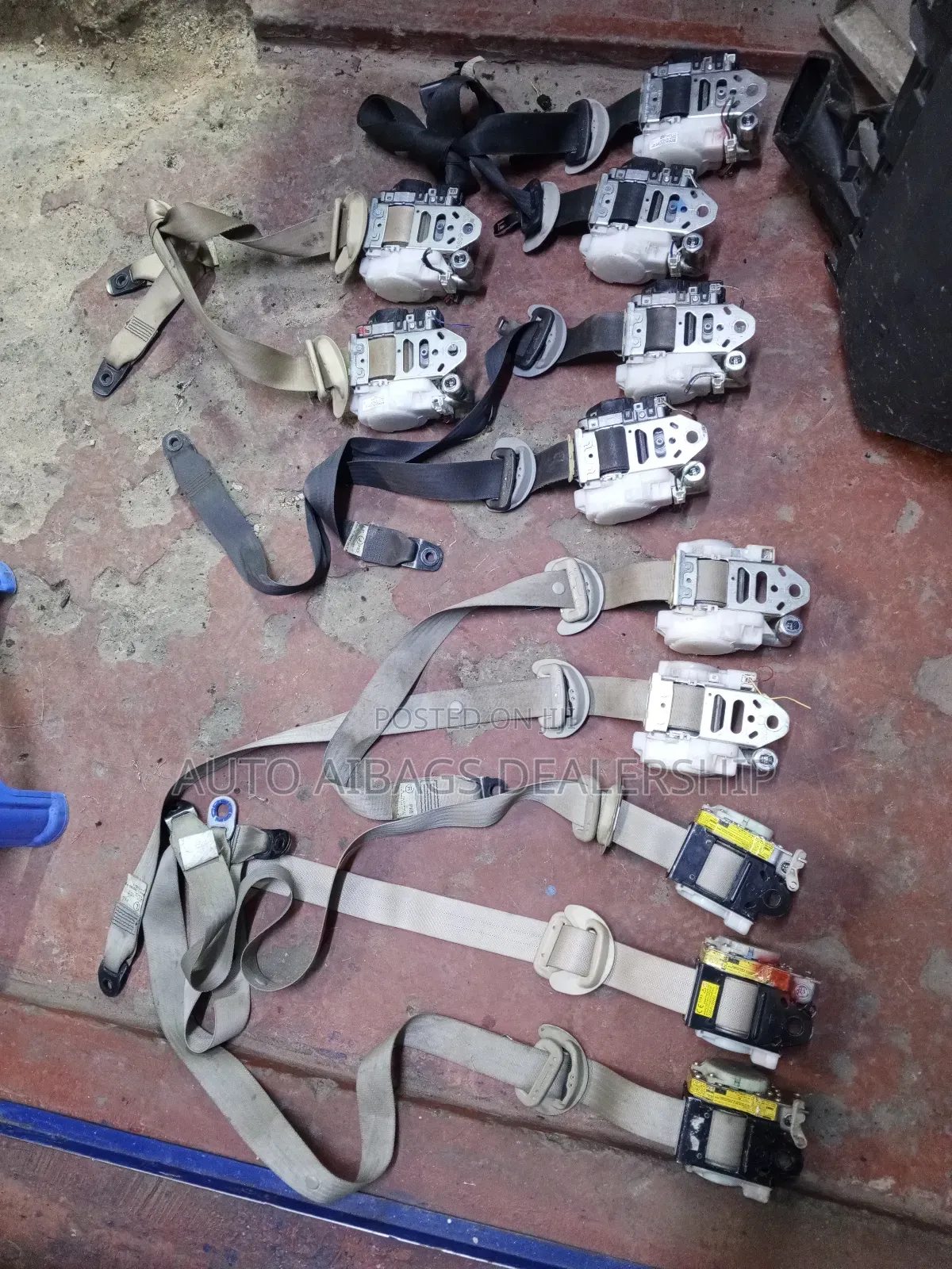V8 200 Series Front and Rear Seatbelts .