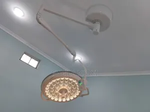 Single Arm Ceiling Mounted Theatre Light